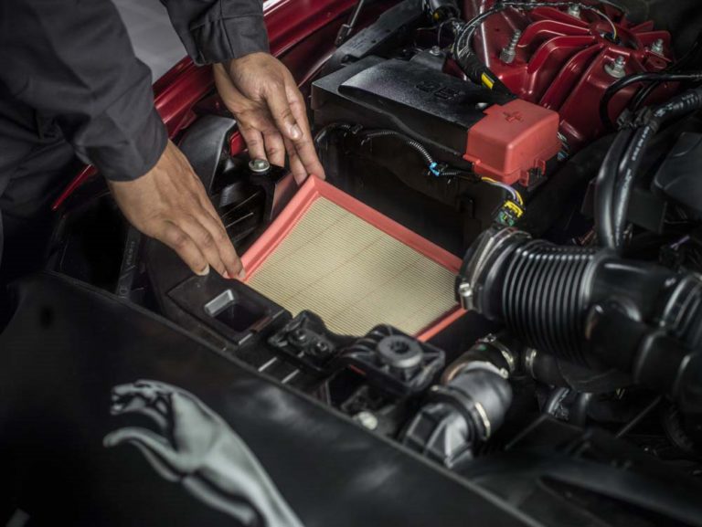 jaguar air filter Jaguar Northfield