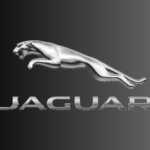 Jaguar Leaper logo